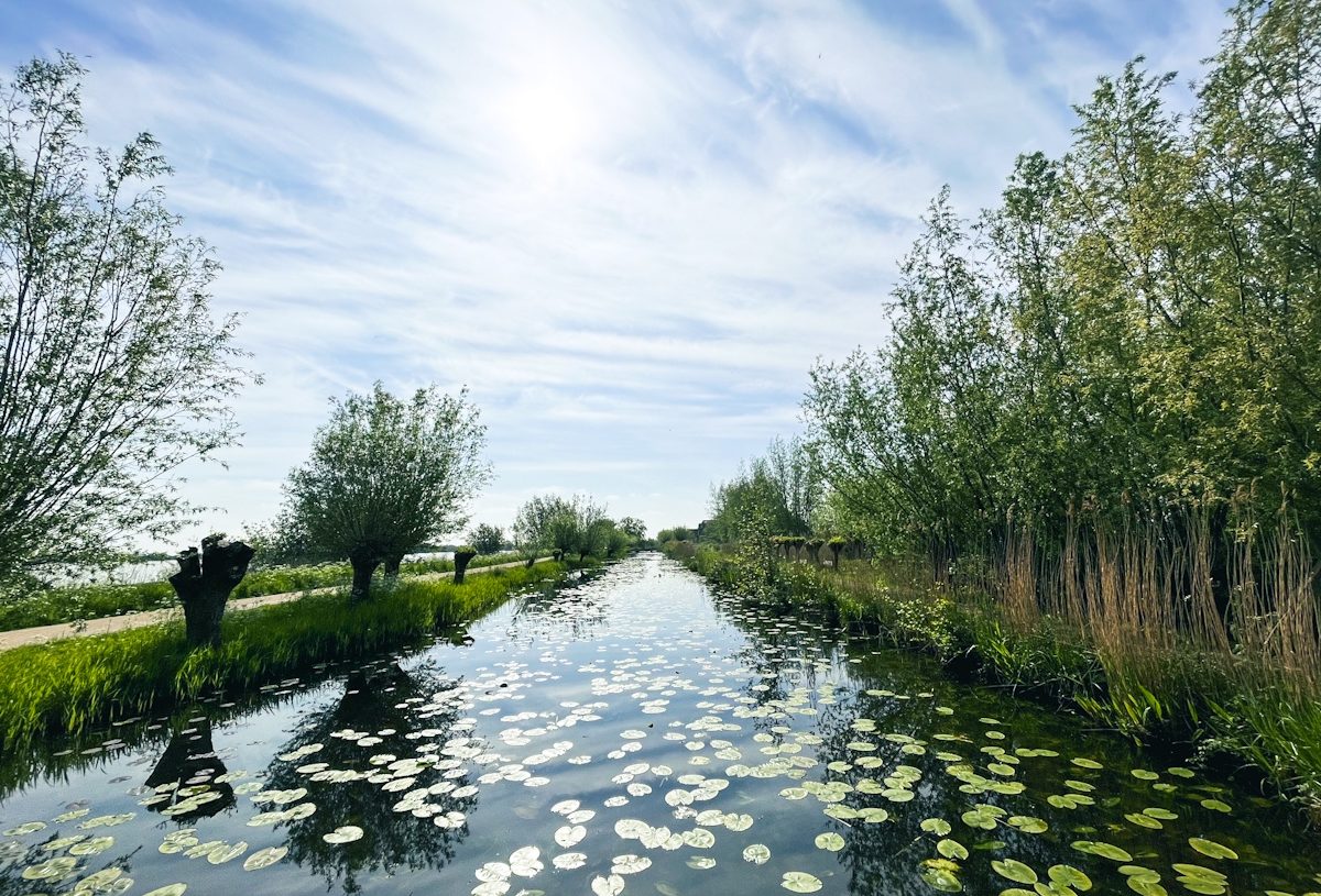 36. Reeuwijkse Plassen
