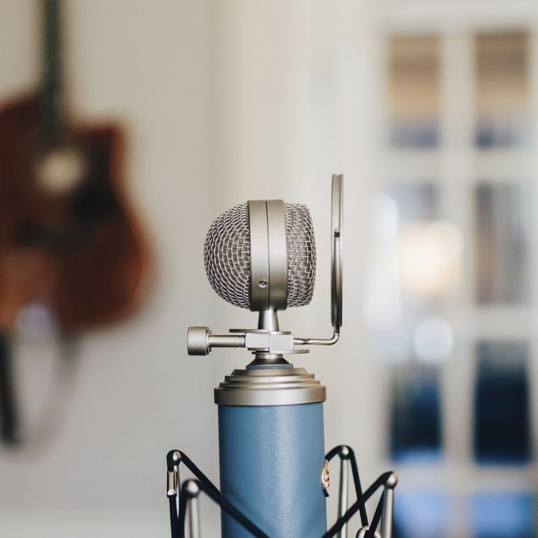 A small bluebird microphone on a stand
